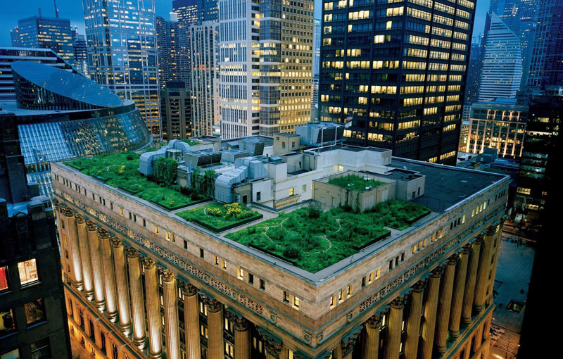 GREEN ROOF